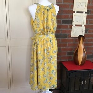 NWT Ann Taylor Dress Size 14